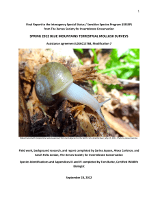 Final Report to the Interagency Special Status / Sensitive Species Program (ISSSSP)  from The Xerces Society for Invertebrate Conservation 
