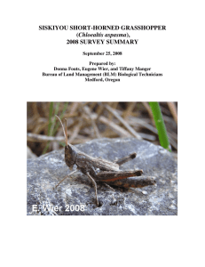 SISKIYOU SHORT-HORNED GRASSHOPPER Chloealtis aspasma 2008 SURVEY SUMMARY