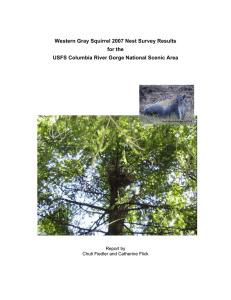 Western Gray Squirrel 2007 Nest Survey Results for the