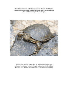 Population Structure and Abundance of the Western Pond Turtle Clemmys marmorata