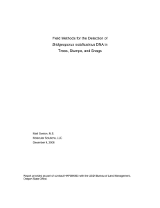 Field Methods for the Detection of DNA in Trees, Stumps, and Snags