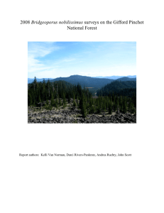 Bridgeoporus nobilissimus National Forest