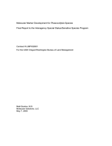 Phaeocollybia Final Report to the Interagency Special Status/Sensitive Species Program