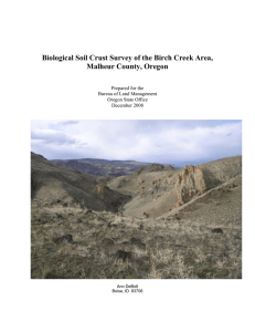 Biological Soil Crust Survey of the Birch Creek Area,