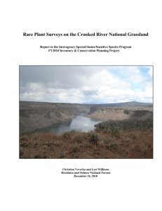 Rare Plant Surveys on the Crooked River National Grassland