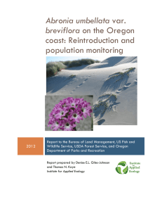 Abronia umbellata breviflora coast: Reintroduction and population monitoring