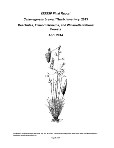 ISSSSP Final Report Calamagrostis breweri Deschutes, Fremont-Winema, and Willamette National Forests