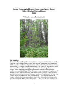 Golden Chinquapin Element Occurrence Survey Report Gifford Pinchot National Forest 2008