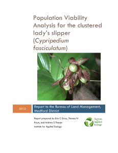 Population Viability Analysis for the clustered lady’s slipper