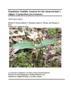 Population Viability Analysis for the clustered lady’s slipper (  Cypripedium fasciculatum