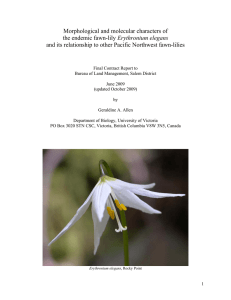 Morphological and molecular characters of Erythronium elegans