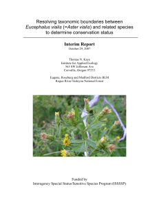 Resolving taxonomic boundaries between to determine conservation status Eucephalus vialis Interim Report
