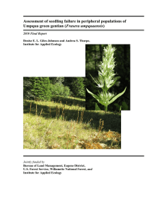 Assessment of seedling failure in peripheral populations of Frasera umpquaensis