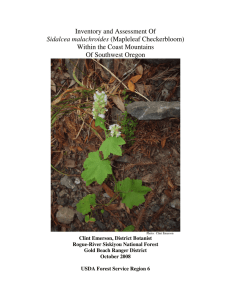 Inventory and Assessment Of (Mapleleaf Checkerbloom) Within the Coast Mountains Of Southwest Oregon