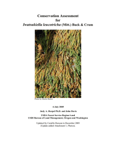 Conservation Assessment for Iwatsukiella leucotricha (Mitt.) Buck &amp; Crum