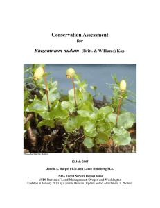 Conservation Assessment for Rhizomnium nudum (Britt. &amp; Williams) Kop.