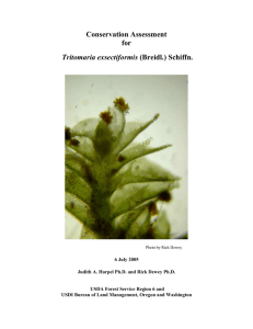 Conservation Assessment for Tritomaria exsectiformis