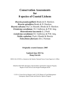 Conservation Assessments for 8 species of Coastal Lichens