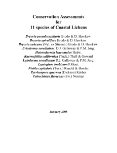 Conservation Assessments for 11 species of Coastal Lichens