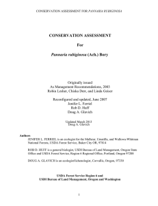 CONSERVATION ASSESSMENT For Pannaria rubiginosa