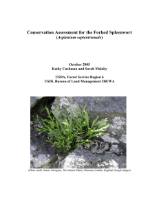 Conservation Assessment for the Forked Spleenwort Asplenium septentrionale