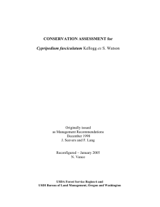 CONSERVATION ASSESSMENT for Cypripedium fasciculatum