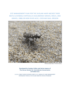 SITE MANAGEMENT PLAN FOR THE SIUSLAW HAIRY-NECKED TIGER CICINDELA HIRTICOLLIS SIUSLAWENSIS