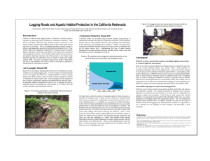 Logging Roads and Aquatic Habitat Protection in the California Redwoods