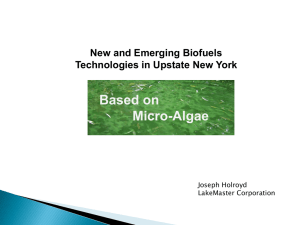 Based on Micro-Algae New and Emerging Biofuels Technologies in Upstate New York