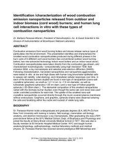 Identification /characterization of wood combustion emission nanoparticles released from outdoor and