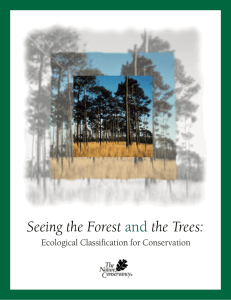 Seeing the Forest the Trees: and Ecological Classification for Conservation