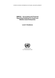 SMEGA – Accounting and Financial Reporting Guidelines for Small and Medium-sized Enterprises