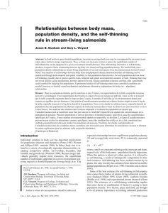 Relationships between body mass, population density, and the self-thinning