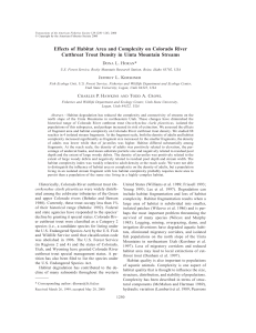 Effects of Habitat Area and Complexity on Colorado River