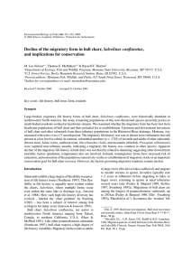 Salvelinus confluentus and implications for conservation