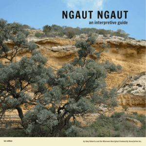 Ngaut Ngaut an interpretive guide 1st edition