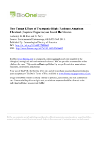 Non-Target Effects of Transgenic Blight-Resistant American