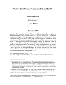 What’s behind Mercosur’s Common External Tariff? Marcelo Olarreaga Isidro Soloaga L. Alan Winters