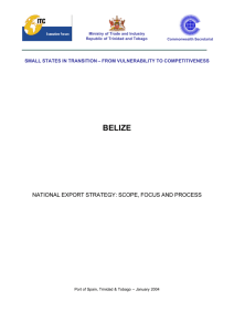 BELIZE NATIONAL EXPORT STRATEGY: SCOPE, FOCUS AND PROCESS