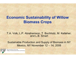 Economic Sustainability of Willow Biomass Crops