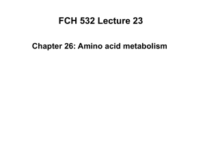 FCH 532 Lecture 23 Chapter 26: Amino acid metabolism