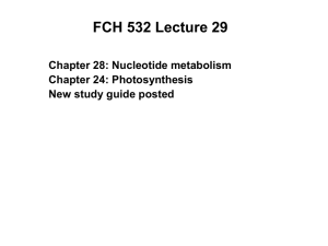 FCH 532 Lecture 29 Chapter 28: Nucleotide metabolism Chapter 24: Photosynthesis