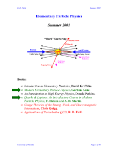 Elementary Particle Physics  Summer 2001