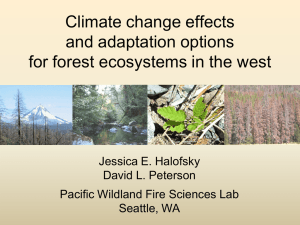 Climate change effects and adaptation options for forest ecosystems in the west