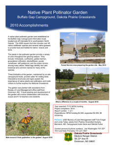 Native Plant Pollinator Garden Title text here 2010 Accomplishments