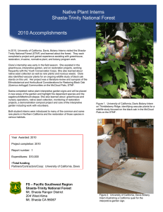 Title text here Native Plant Interns Shasta-Trinity National Forest 2010 Accomplishments