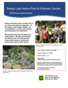 Title text here Seeley Lake Native Plant &amp; Pollinator Garden 2009 Accomplishments