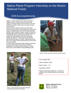 Native Plants Program Internship on the Modoc Title text here National Forest