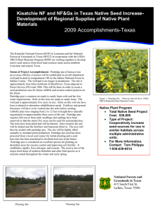 Kisatchie NF and NF&amp;Gs in Texas Native Seed Increase-