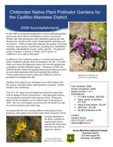 Chittenden Native Plant Pollinator Gardens for the Cadillac-Manistee District 2008 Accomplishments